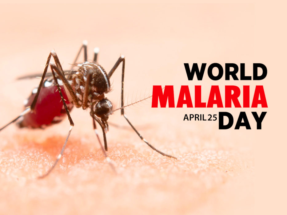 April 25th is The World Malaria Day