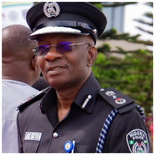 Nigeria NOT Ready for State Police – IGP