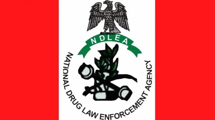 NDLEA Arrests 50,901 Drug Offenders in 3 Years
