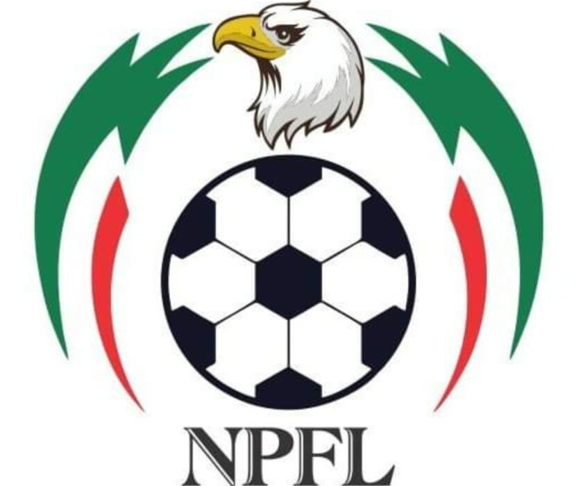 NPFL Board Banish Abia Warriors and Heartland Over State of Pitches