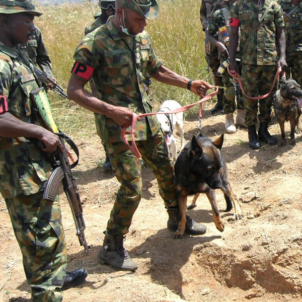 Military troops repel boko haram attack in Borno state.