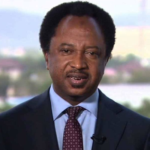 Senator Shehu Sani Kicks Against Indirect Primaries Adopted By Kaduna Apc