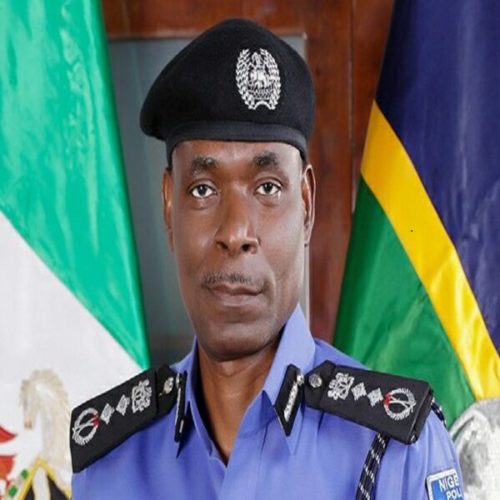 SENATE SUMMONS ACTING IG ADAMU ON SECURITY SITUATION