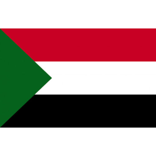 SUDAN’S MILITARY ARRESTS TWO BROTHERS OF DEPOSED PRESIDENT OMAR AL-BASHIR