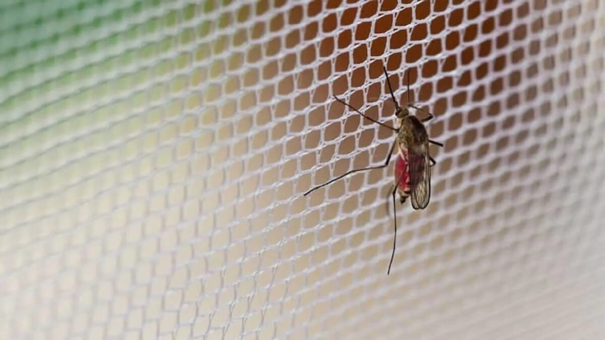 Akwa Ibom State Ministry of Health Set to Begin Distribution of Insecticide Treated Nets in December.