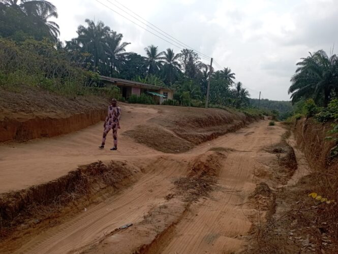 COMMUNITY REPORT; Ibesikpo Asutan Residents Cry Out Over Deplorable State of Roads