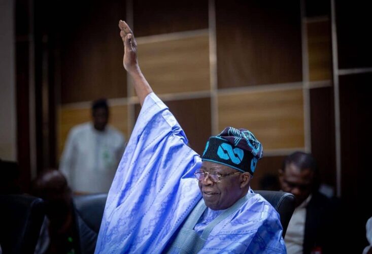 President Tinubu Makes Appointments into CREDICORP