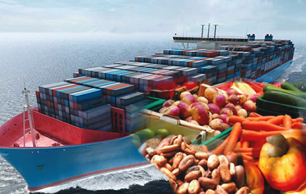 Nigeria’s Export Increases by 74.36% in Q3 Generating Over N1.99Trn