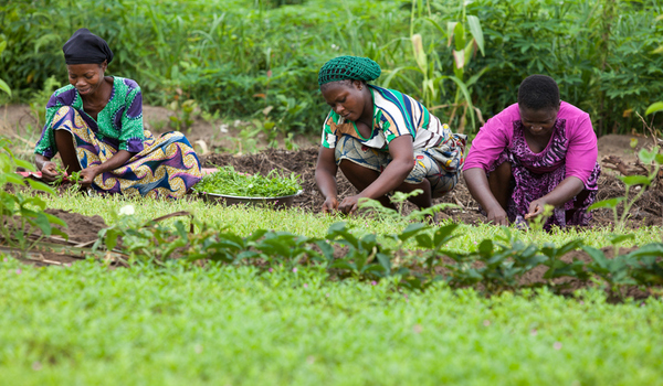 AgriBusiness: Women Farmers Advocate Assistance for Expansion