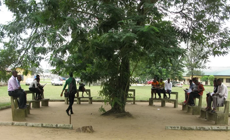 Uniuyo Students Decry Rising Cost of Accommodations